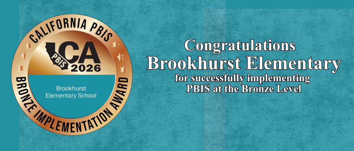 PBIS - Bronze